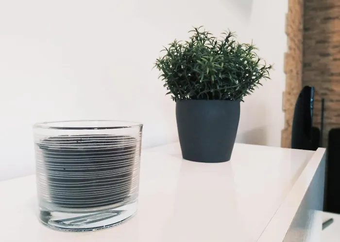 Apartament Night Day Extra *