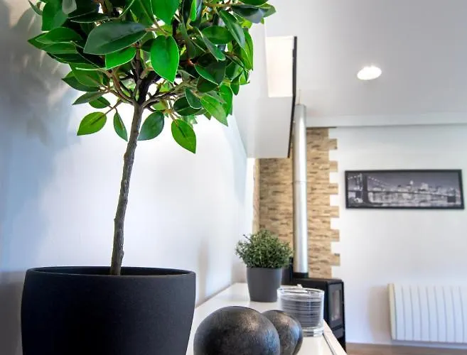 Apartamento Night Day Extra *