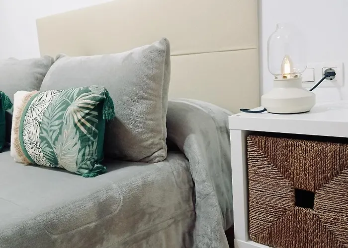 Night Day Extra Padrón